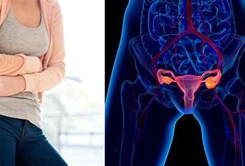 π Title: Uterine Diseases: Understanding, Causes, and Treatments π€ Author: Youssef Farhat