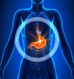 Title: The Stomach Problem: Understanding and Managing Gastric Diseases Author: Youssef Farhat