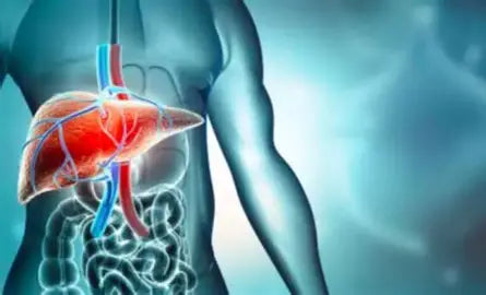 The Liver Disease Problem: Understanding and Managing Liver Health Author: Youssef Farhat