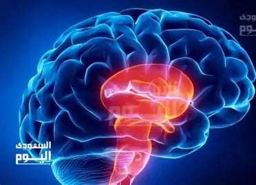 Brain Diseases: Understanding, Prevention, and Treatment Author: Youssef Farhat