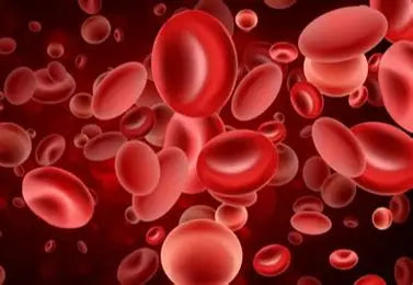 π Blood Cell Diseases βοΈ Youssef Farhat