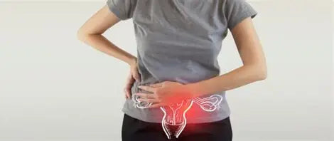 📖 Title: Uterine Diseases: Understanding, Causes, and Treatments 👤 Author: Youssef Farhat