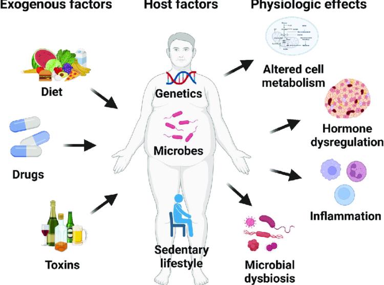 Biology‑Backed Fat Loss ReseT