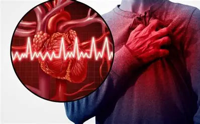 📘 Draft of the Book Title: Heart Diseases: Understanding, Prevention, and Treatment Author: Youssef Farhat