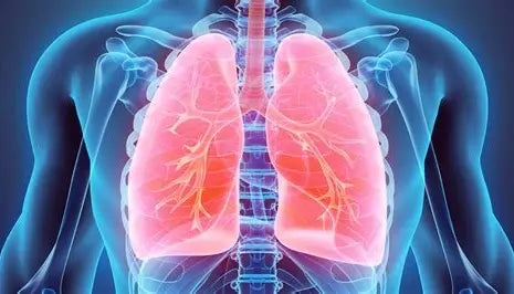 Title: The Lung Disease Problem: Understanding, Preventing, and Managing Respiratory Health Author: Youssef Farhat