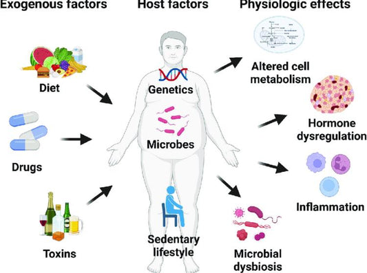 Biology‑Backed Fat Loss ReseT
