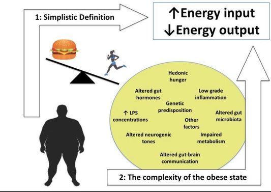 Biology‑Backed Fat Loss ReseT