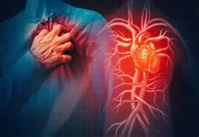 📘 Draft of the Book Title:  Heart Diseases: Understanding, Prevention, and Treatment Author: Youssef Farhat