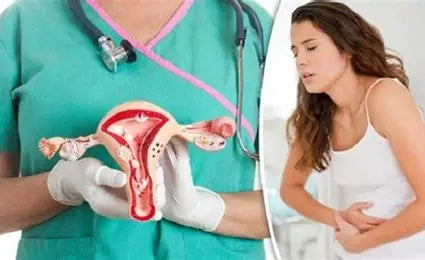 📖 Title: Uterine Diseases: Understanding, Causes, and Treatments  👤 Author: Youssef Farhat